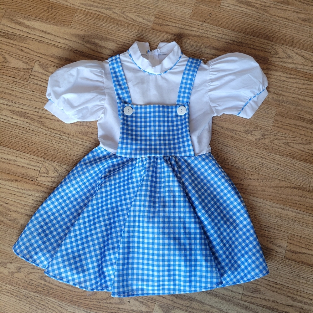 Kids Dorothy wizard of Oz costume.